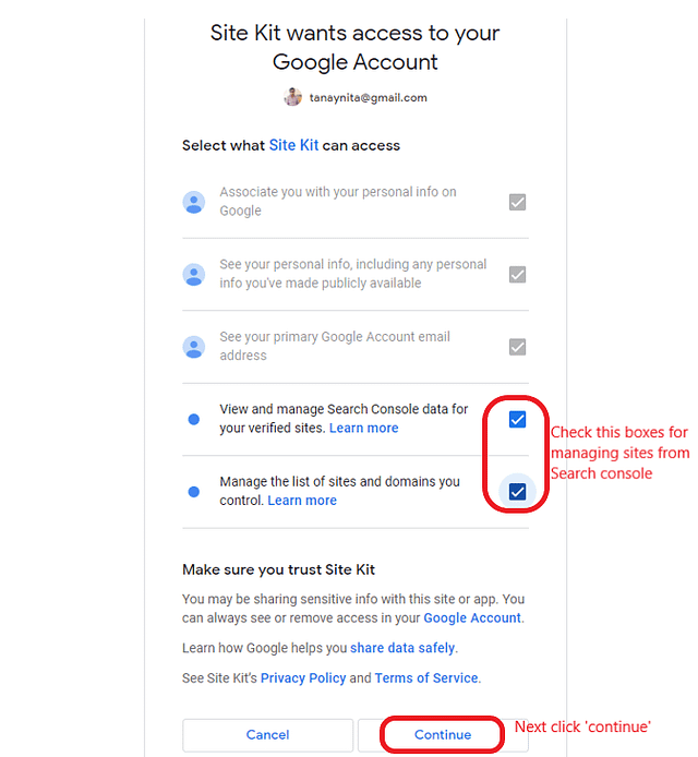Access to Site Kit for Google analytics